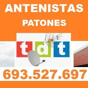 Antenistas Patones